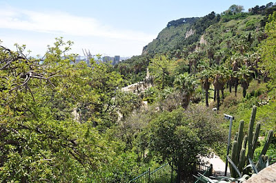 Panoramic view of Jardins de Mossèn Costa i Llobera