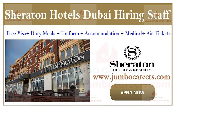 Job openings in Dubai, Hotel job opportunities in UAE, 