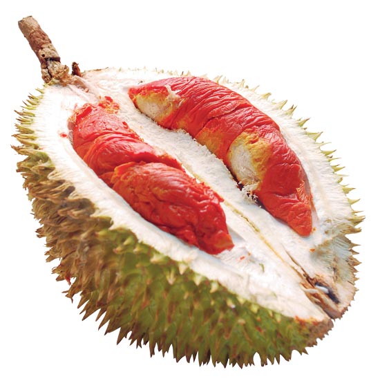 Fruit Warehouse: Durian