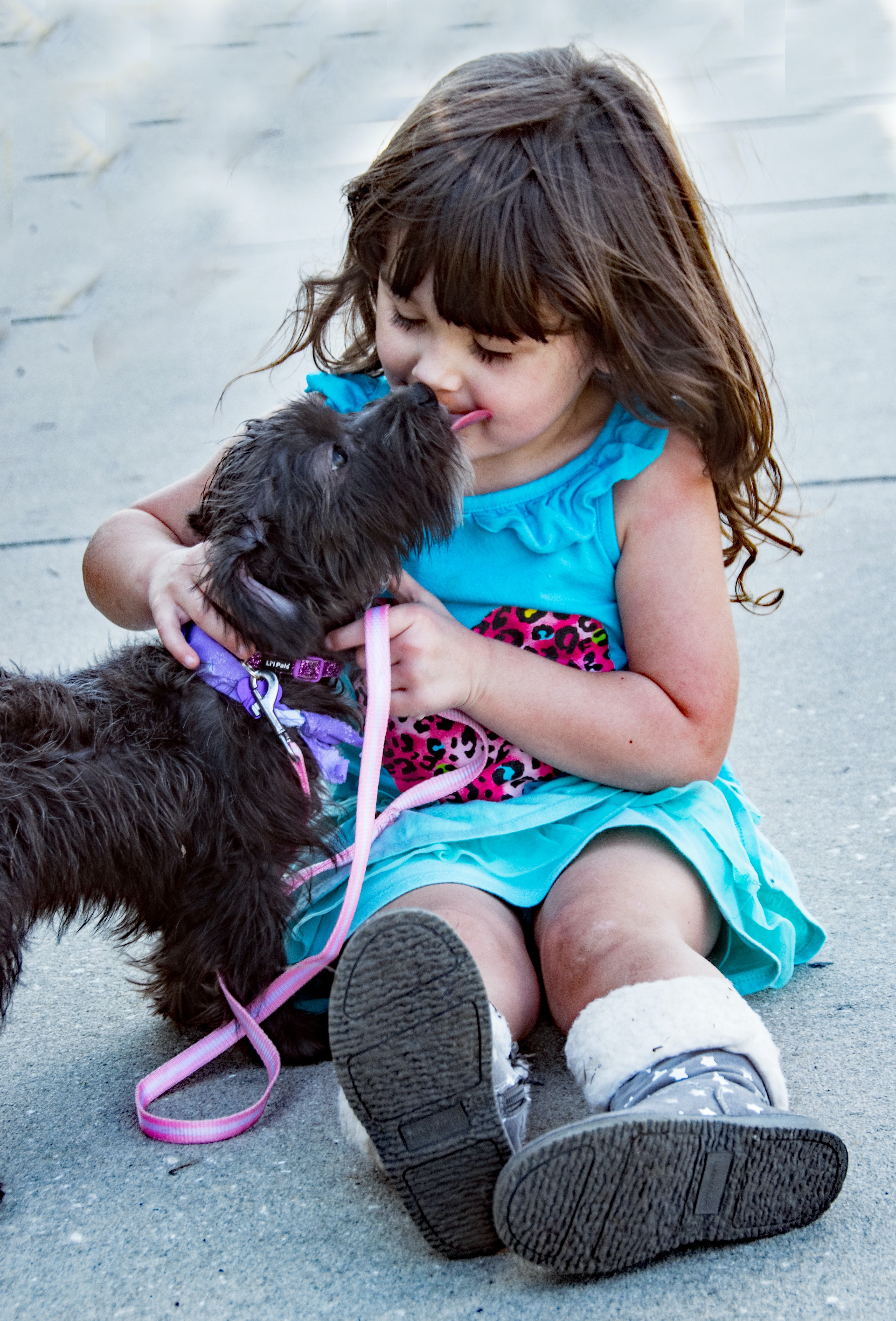 Köpekler ve Çocuklar: Doğru Eğitim ve Güvenli İnteraksiyon İçin İpuçları