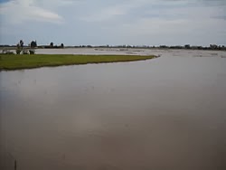 mekong river cruises