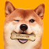 Brazilian Burger King Customers Can Now Purchase Meat-Flavored Dog Biscuits With Dogecoin 