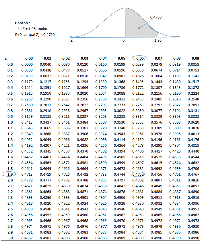 Distribusi Probabilitas Normal Standard