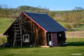 Woodshed in West Burlington, PA