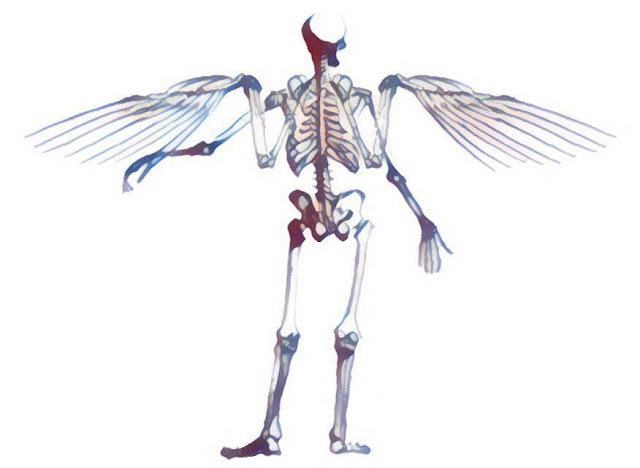 Skeleton of Icarus