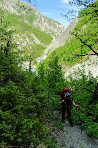 Вверх по гребню через лес