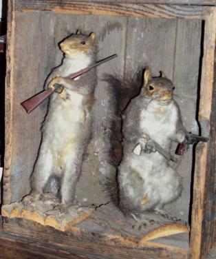 funny+squirrels+with+guns+1.jpg