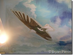 eagle ceiling