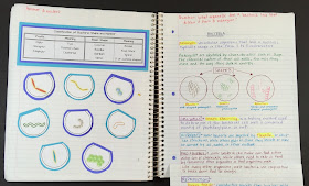 bacteria virus protists