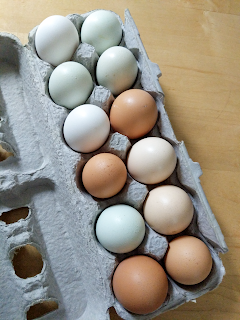 EGGS