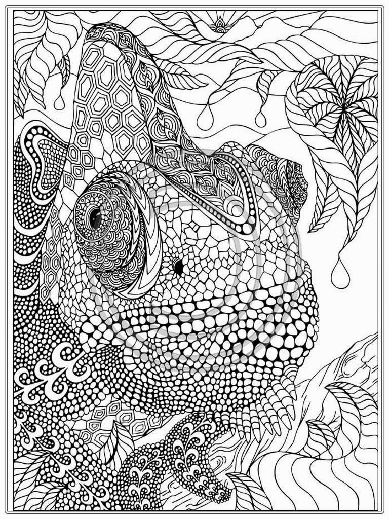 Free Iguana Coloring Pages For Adult