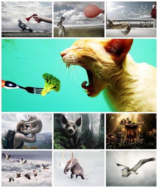 Creative Animals