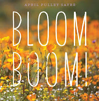 Cover image of Bloom Boom