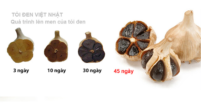 mẹo làm tỏi đen tại nhà 