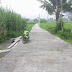 Proyek Pembangunan Rabat Beton Dusun Krajan Barat Desa Jokarto Diduga Langgar KIP
