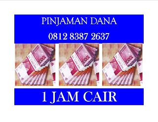 pinjaman