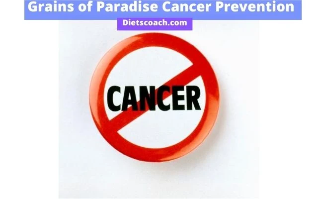 Effect of grains of paradise on cancer