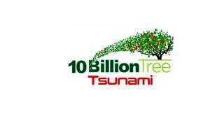 Ten Billion Tree Tsunami Program TBTTP Jobs 2022 | MOCC