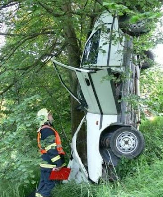 Aparcando en un pino