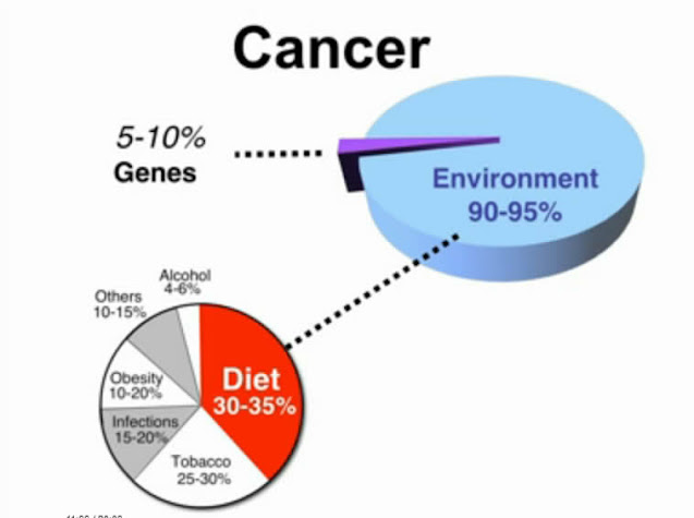 Menos-del-10%-de-los-casos-de-cancer-diagnosticados-obedece-a-la-genetica