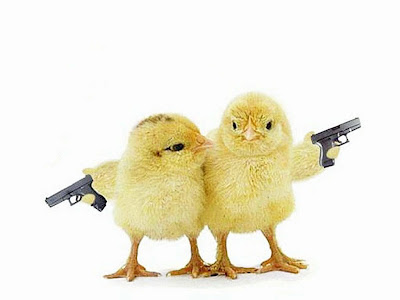 funny chicken with pistol in 2013