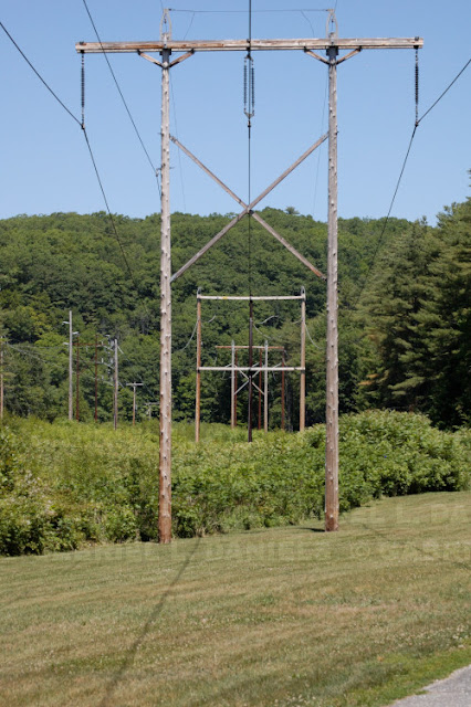 Trees and power lines at Kilowatt Park in Wilder, Vermont (photo by Gabriel L. Daniels)