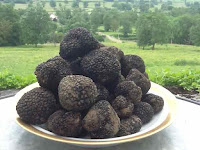 Truffes fraîches: conservation