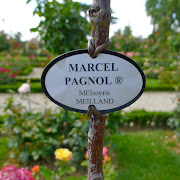 Bagatelle gardens: a magical place so close to Paris! (marcelpagnol)