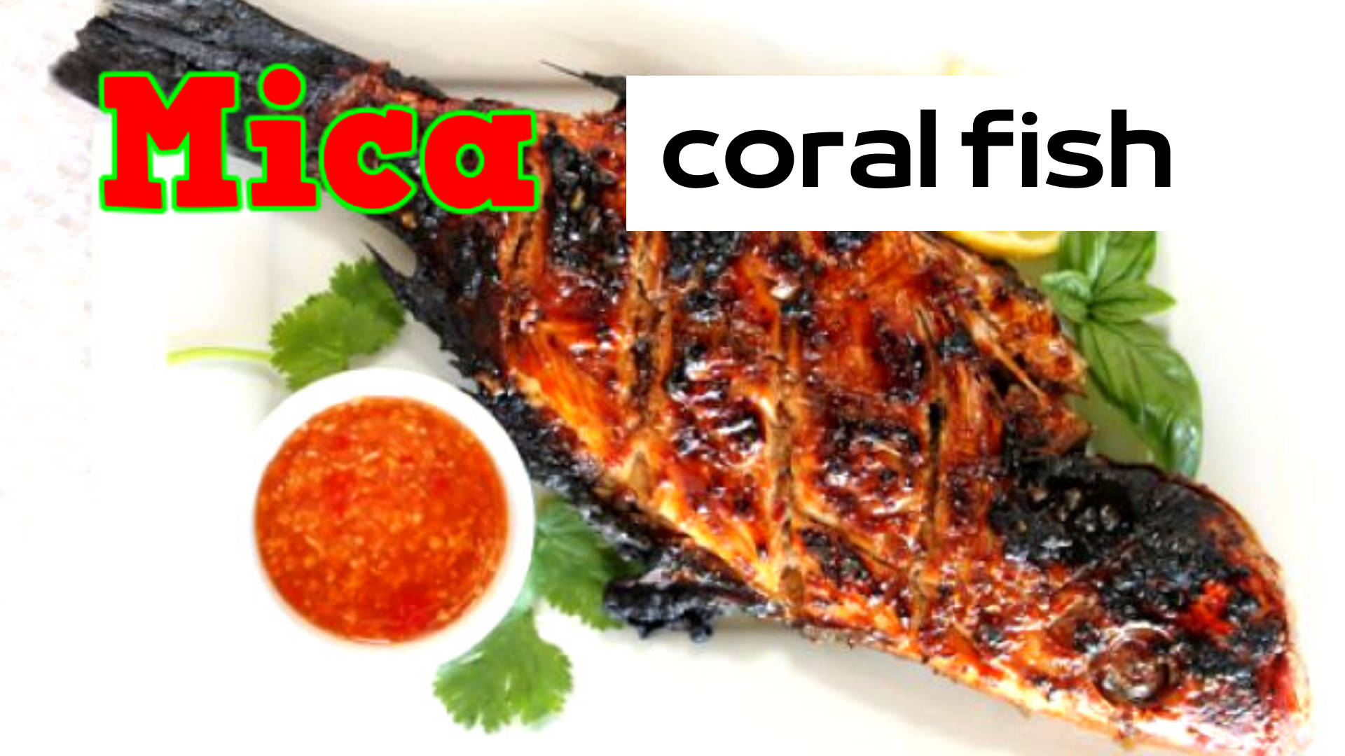 how does coral work coral planulae how to help coral grow polyps in coral types of coral polyps why do corals need sunlight coral shapes coral reef ecology