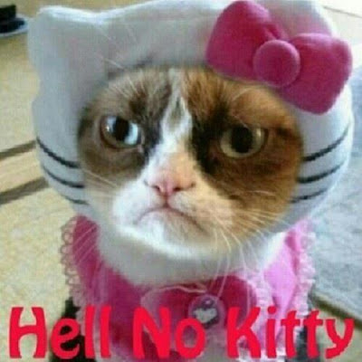 Grumpy cat dressed up as hello kitty equals hell no kitty. 