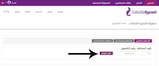 كيفية دفع فاتورة النت في te data عن طريق فوري وطرق آخري