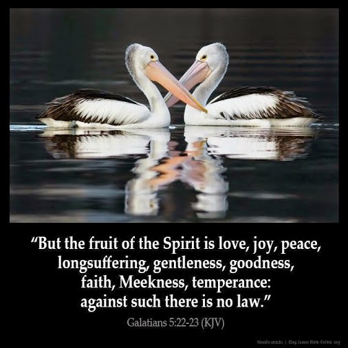 The fruit of the Spirit