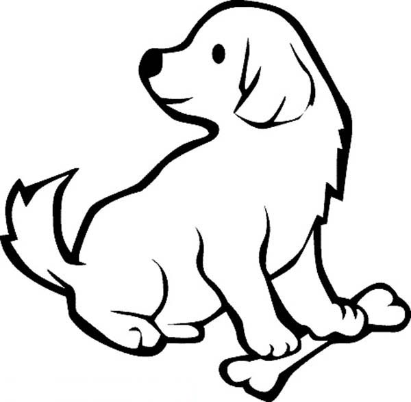Kumpulan Mewarnai Sketsa  Gambar Anjing  Mudah Desain 