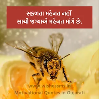 motivational quotes about life in gujarati, beautiful gujarati motivation quote, best gujarati motivational quotes, best motivational quotes gujarati, best new motivation succes quote gujarati image, motivational quotes images hd gujarati, good gujarati motivational quotes, motivational quotes gujarati instagram, motivation gujarati status, whatsapp motivational status in gujarati, gujarati status motivation, life motivation status gujarati, hard work quotes in gujarati, motivational quotes gujarati text