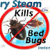 What temperature kills bed bugs instantly? Heat or Cold To Kill Bed Bugs