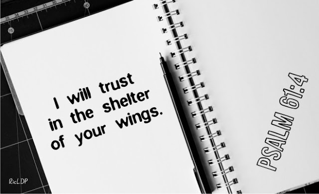 I will trust in the shelter of your wings ~Psalm