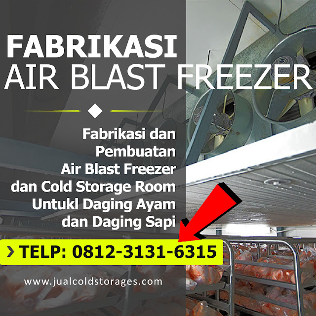 Harga Air Blast Freezer Daging Sapi, Air Blast Freezer Daging Ayam, Jual Cold Storage Room Daging Ayam, Jual ABF, Harga ABF