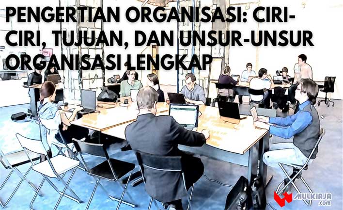 Pengertian Organisasi