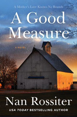 book cover of women's fiction novel A Good Measure by Nan Rossiter