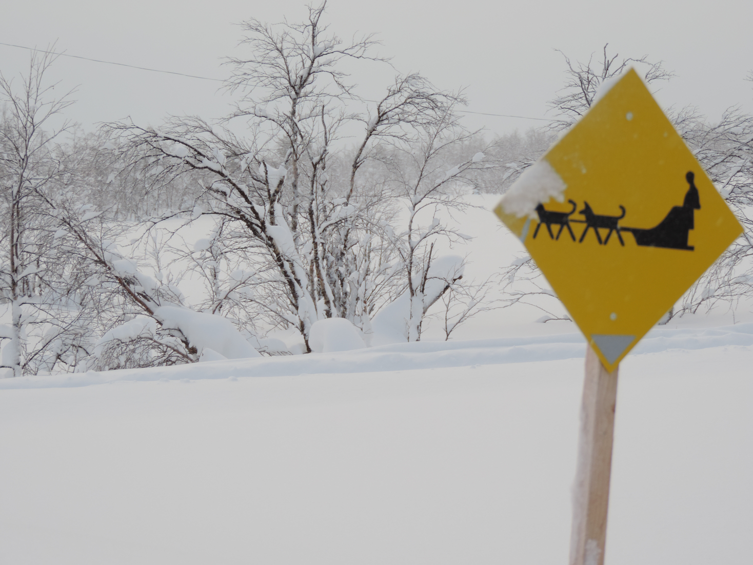 Husky Trail Sign