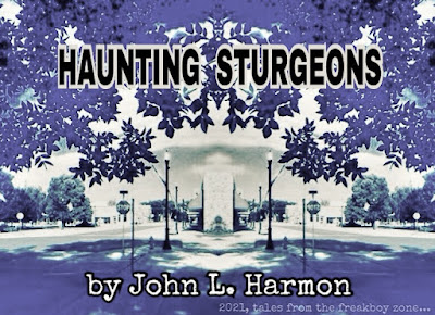 Haunting Sturgeons by john L. Harmon