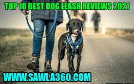 Best Dog Leashes 2021 : Complete Reviews & Buying Guide