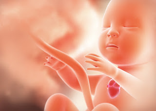 😉 Análise de Resultados - Ecocardiograma Fetal 😉