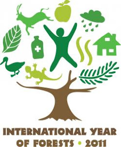 Logo Onu