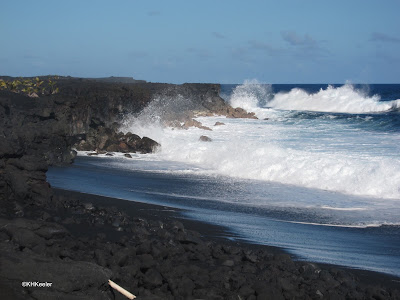 Hawaii coast