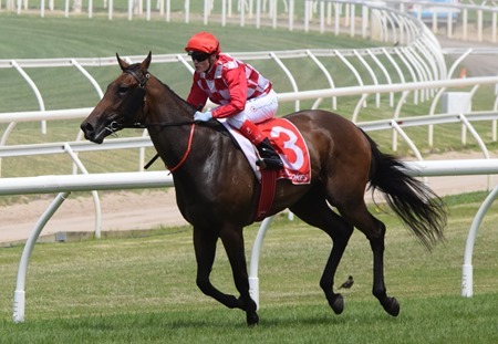bd prelude_fillies_catchy 2