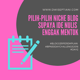 apa itu niche blog