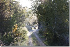 2010-10-26 021 2010-10-26 021