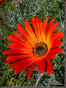 P1140134