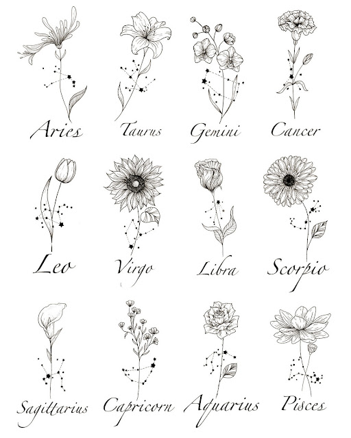 Different Flower Drawings